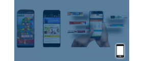 Custom API plugin for Revive adserver for Mobile Application